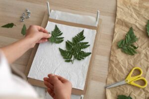 A person arranging green fern leaves on paper towels, preparing for a plant pressing project, with scissors and items on a wooden table.