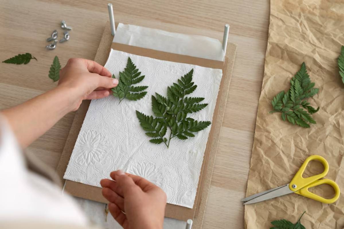 A person arranging green fern leaves on paper towels, preparing for a plant pressing project, with scissors and items on a wooden table.